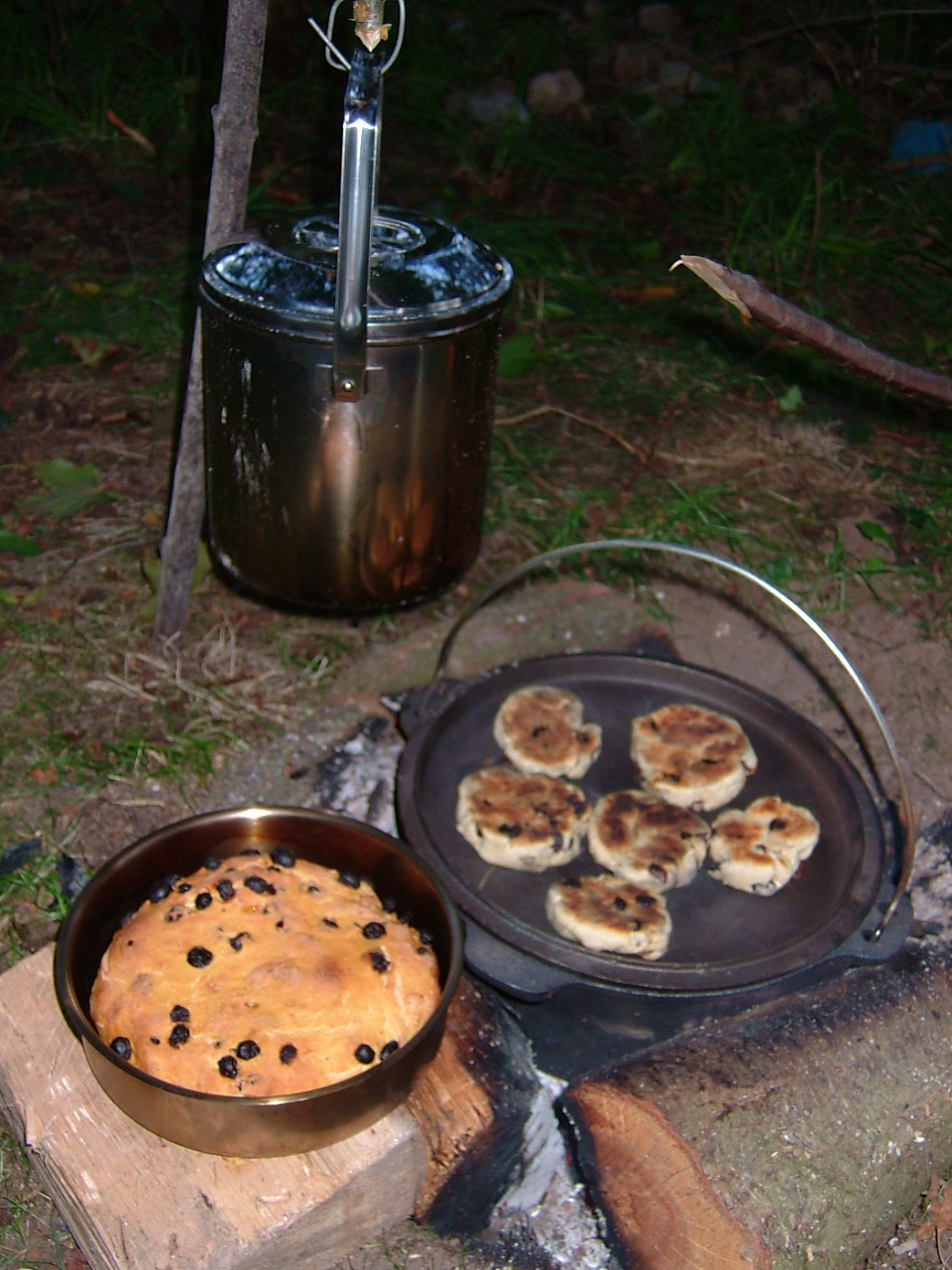 cooking on a fire