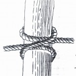 pioneering pioneering