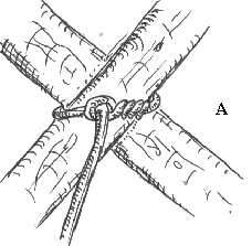 pioneering lashing diagonal lashing A