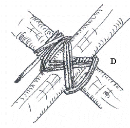 pioneering lashing comp lashing D